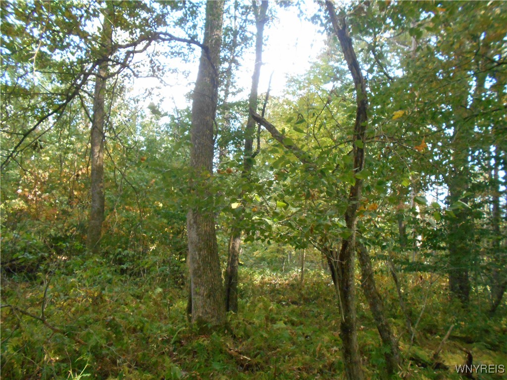 Irish Hill Road Ellicottville, NY 14731 - Photo 14 of 35