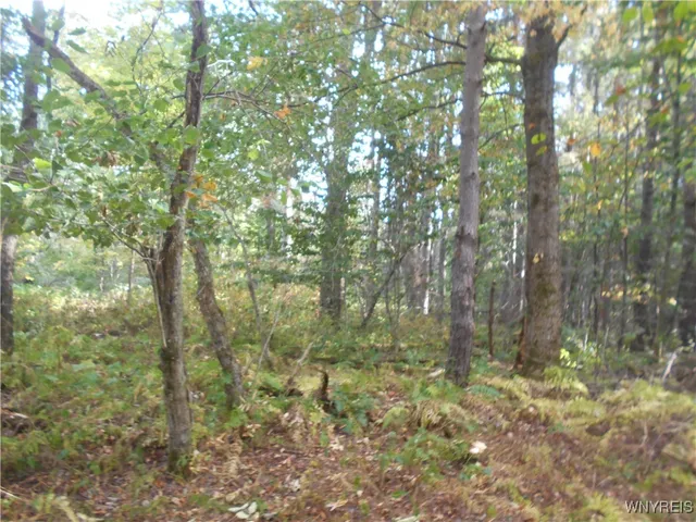 $75,000 | Irish Hill Road, Ellicottville, NY 14731