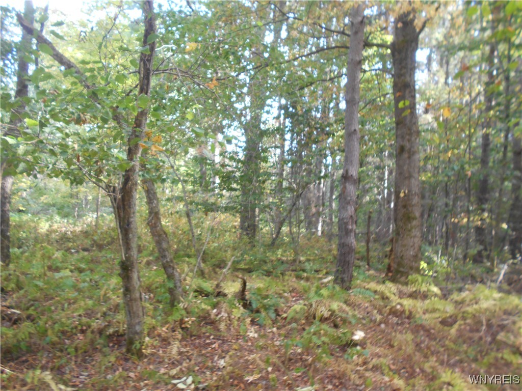 Irish Hill Road Ellicottville, NY 14731 - Photo 15 of 35