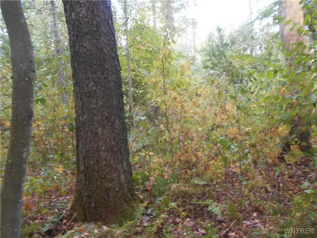 $75,000 | Irish Hill Road, Ellicottville, NY 14731