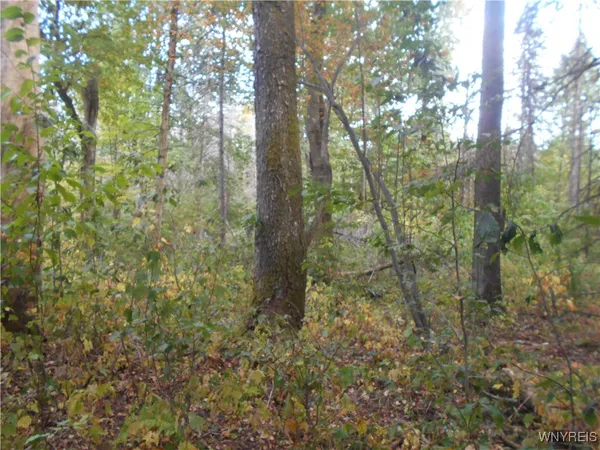 $75,000 | Irish Hill Road, Ellicottville, NY 14731