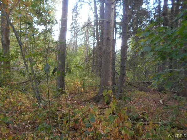 $75,000 | Irish Hill Road, Ellicottville, NY 14731