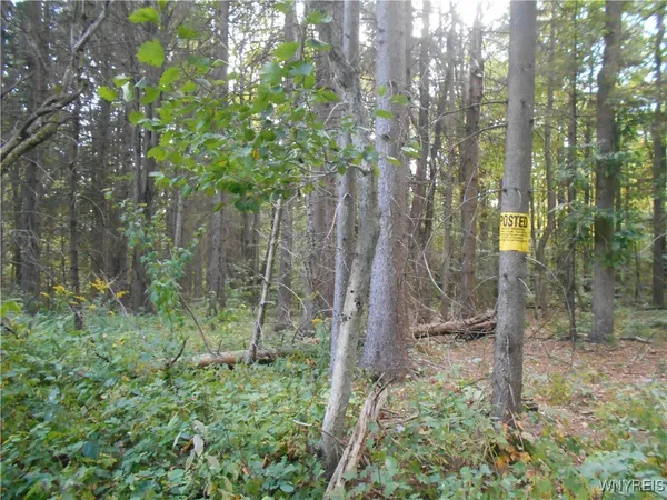 $75,000 | Irish Hill Road, Ellicottville, NY 14731