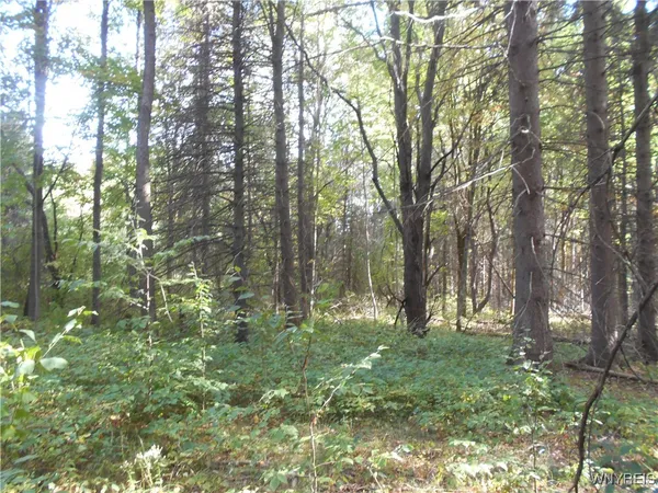 $75,000 | Irish Hill Road, Ellicottville, NY 14731