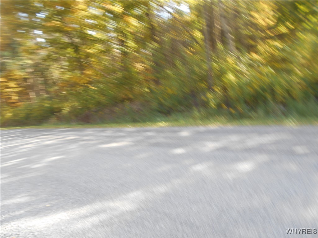 Irish Hill Road Ellicottville, NY 14731 - Photo 2 of 35