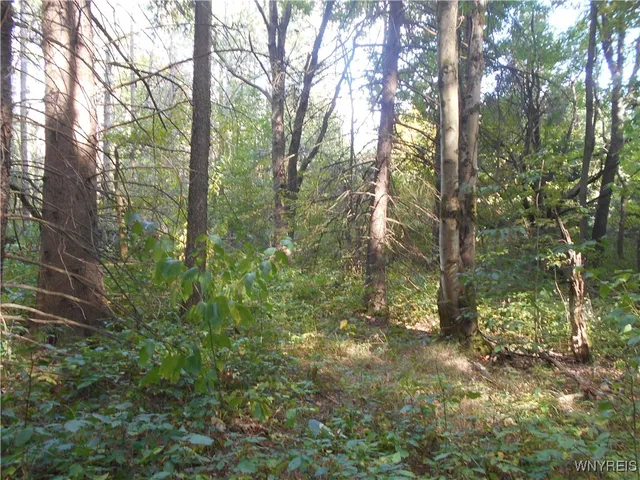 $75,000 | Irish Hill Road, Ellicottville, NY 14731