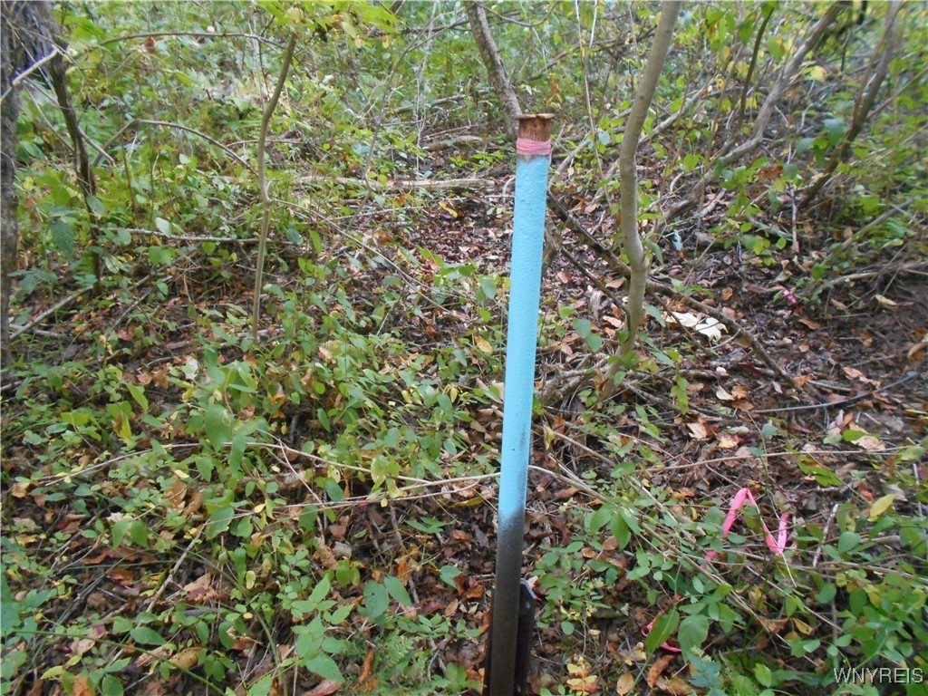 Irish Hill Road Ellicottville, NY 14731 - Photo 22 of 35