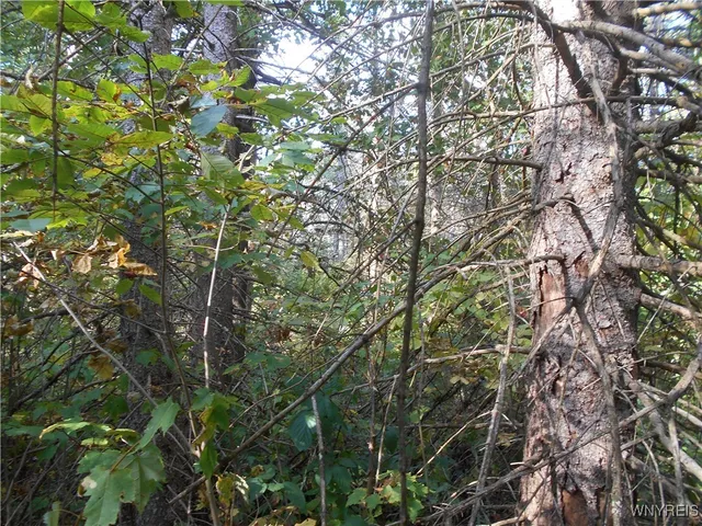 $75,000 | Irish Hill Road, Ellicottville, NY 14731