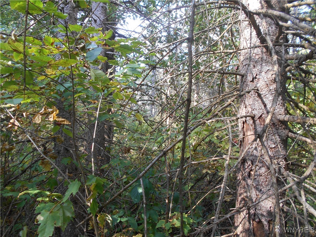 Irish Hill Road Ellicottville, NY 14731 - Photo 23 of 35