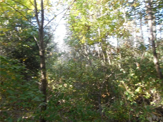 $75,000 | Irish Hill Road, Ellicottville, NY 14731