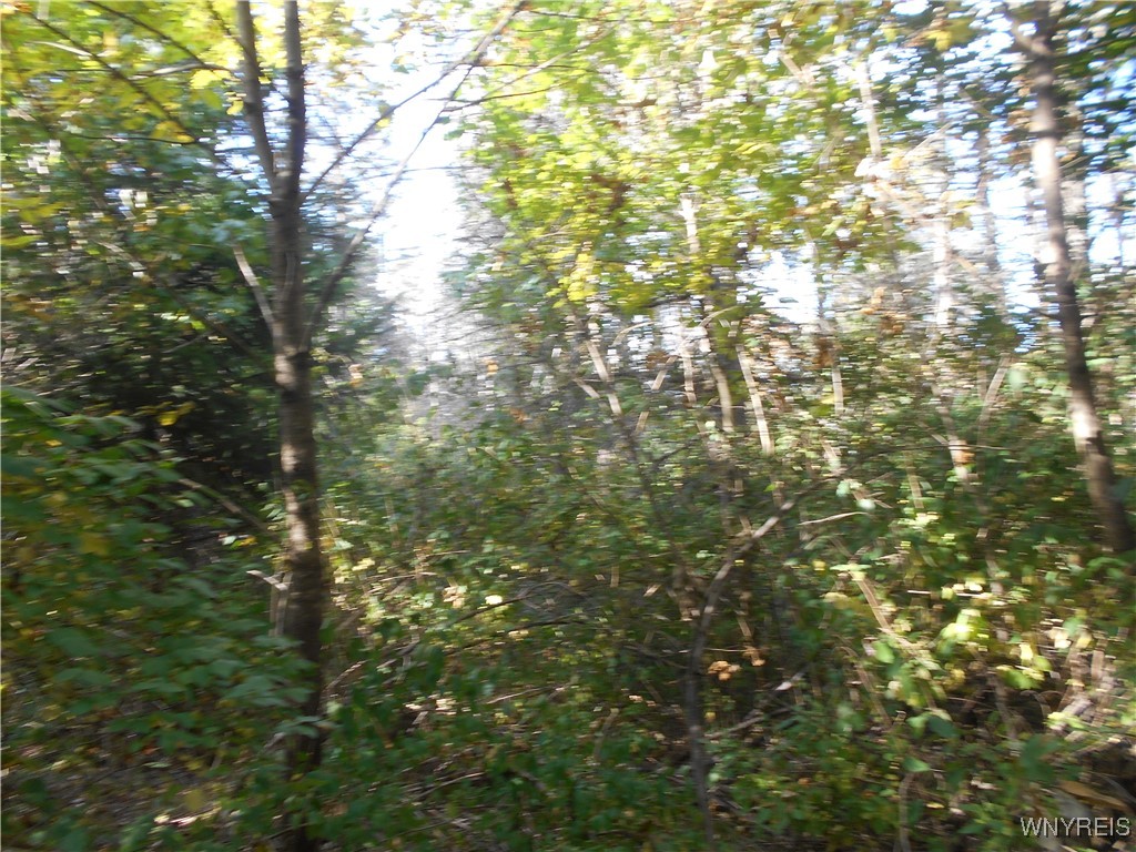 Irish Hill Road Ellicottville, NY 14731 - Photo 24 of 35