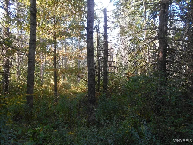 $75,000 | Irish Hill Road, Ellicottville, NY 14731