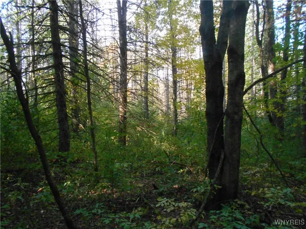 $75,000 | Irish Hill Road, Ellicottville, NY 14731
