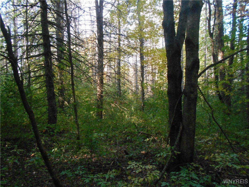 Irish Hill Road Ellicottville, NY 14731 - Photo 26 of 35