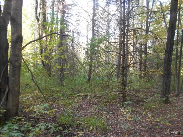 $75,000 | Irish Hill Road, Ellicottville, NY 14731