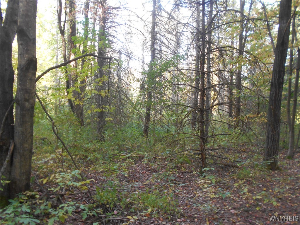 Irish Hill Road Ellicottville, NY 14731 - Photo 27 of 35