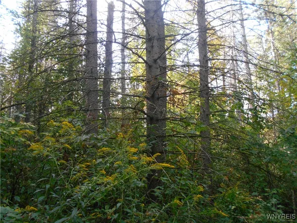 $75,000 | Irish Hill Road, Ellicottville, NY 14731