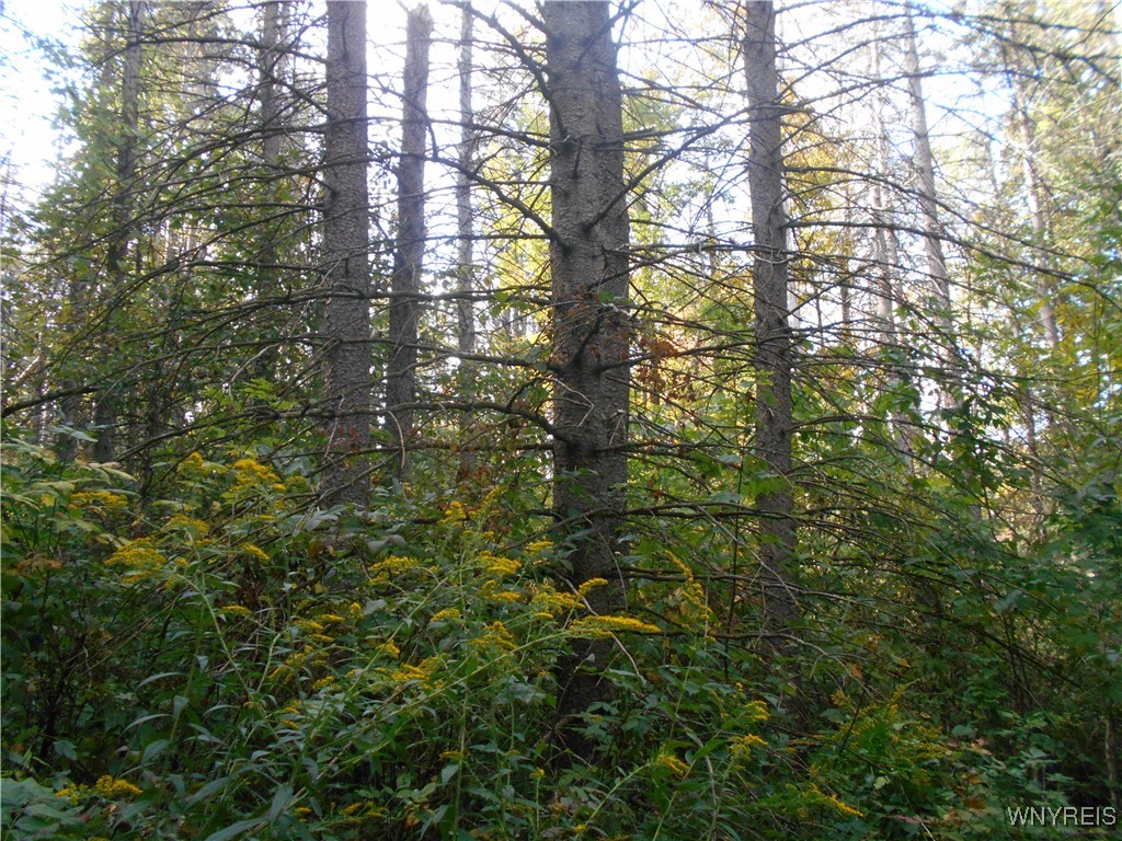 Irish Hill Road Ellicottville, NY 14731 - Photo 28 of 35