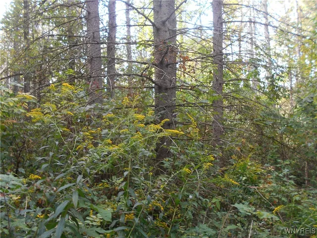 $75,000 | Irish Hill Road, Ellicottville, NY 14731