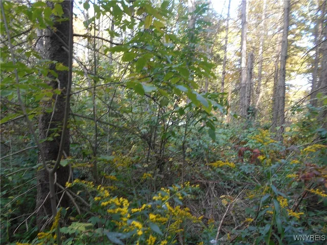 $75,000 | Irish Hill Road, Ellicottville, NY 14731