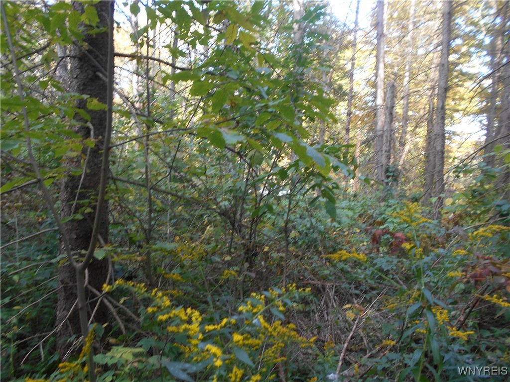 Irish Hill Road Ellicottville, NY 14731 - Photo 30 of 35