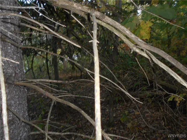 $75,000 | Irish Hill Road, Ellicottville, NY 14731