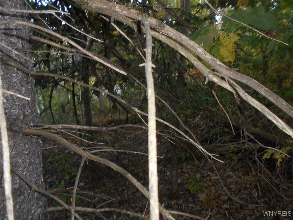 Irish Hill Road Ellicottville, NY 14731 - Photo 3 of 35