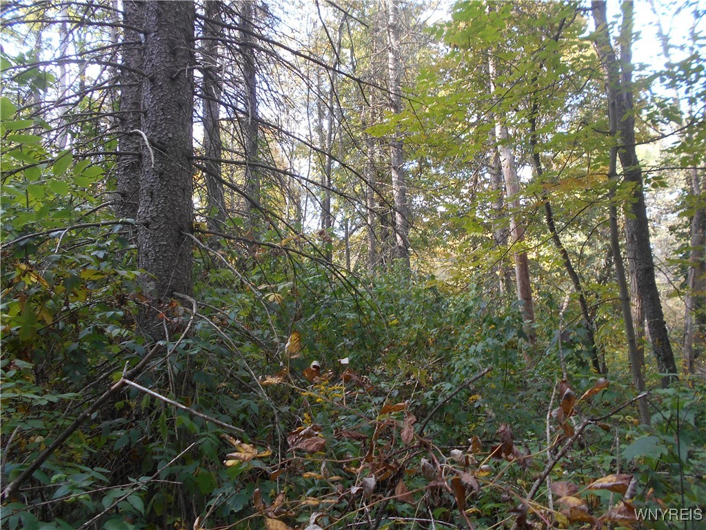 Irish Hill Road Ellicottville, NY 14731 - Photo 31 of 35