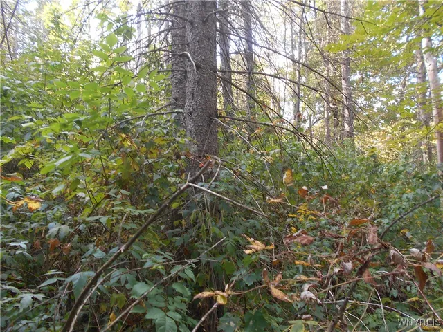 $75,000 | Irish Hill Road, Ellicottville, NY 14731