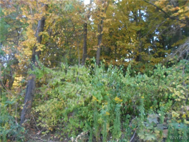 $75,000 | Irish Hill Road, Ellicottville, NY 14731