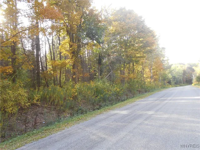 $75,000 | Irish Hill Road, Ellicottville, NY 14731