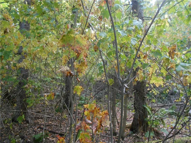 $75,000 | Irish Hill Road, Ellicottville, NY 14731