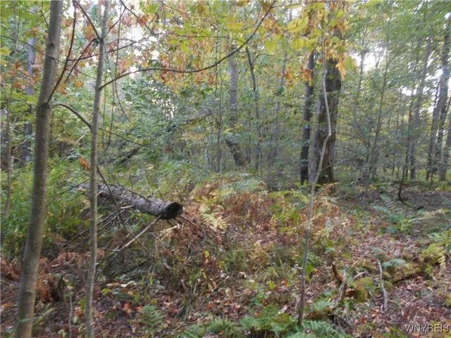 $75,000 | Irish Hill Road, Ellicottville, NY 14731