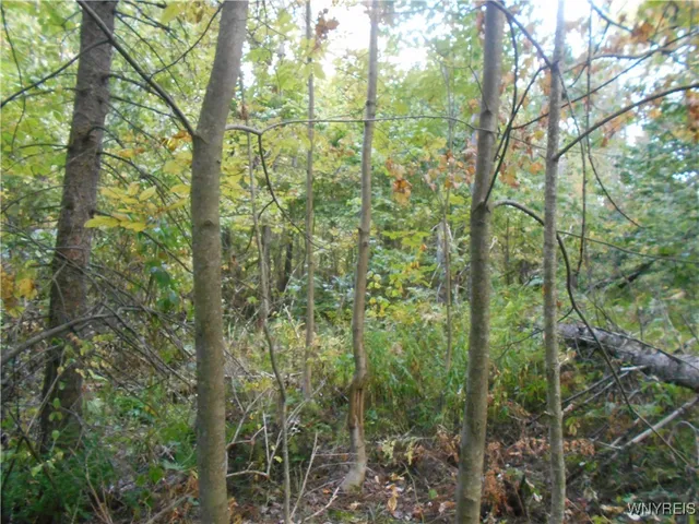 $75,000 | Irish Hill Road, Ellicottville, NY 14731