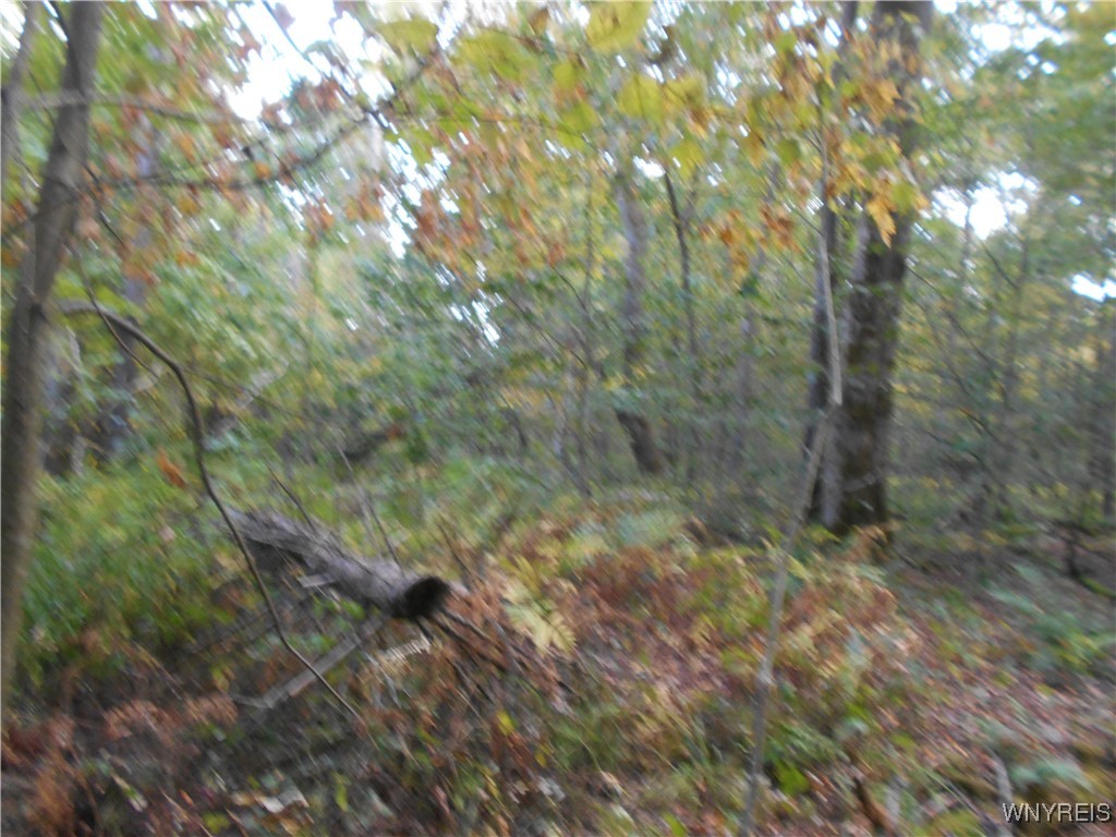 Irish Hill Road Ellicottville, NY 14731 - Photo 8 of 35