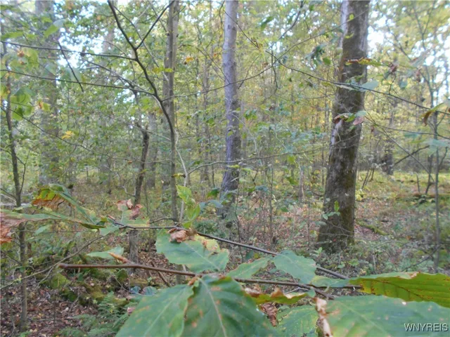 $75,000 | Irish Hill Road, Ellicottville, NY 14731