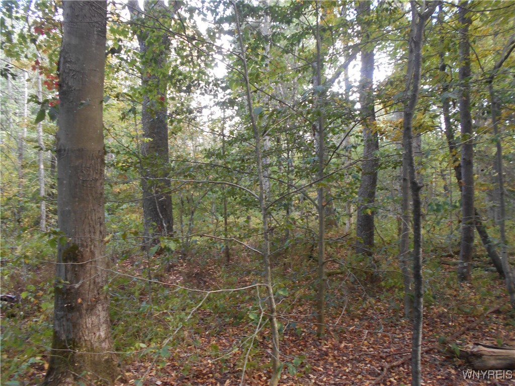 Irish Hill Road Ellicottville, NY 14731 - Photo 10 of 35