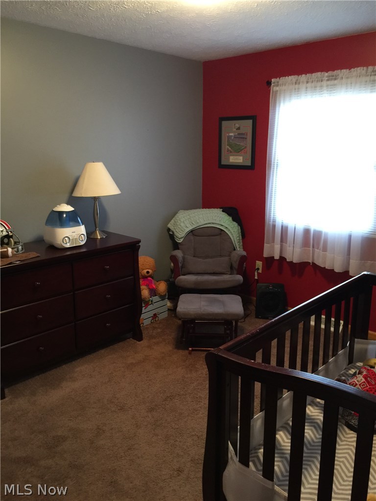 6048 Ridgeview Boulevard North Ridgeville, OH 44039 - Photo 18 of 18
