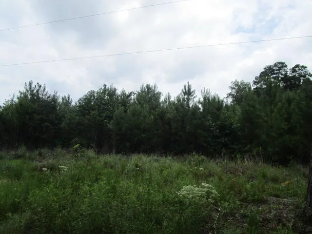 $199,000 | 7905 Morris Bing Road, Hollywood, SC 29449