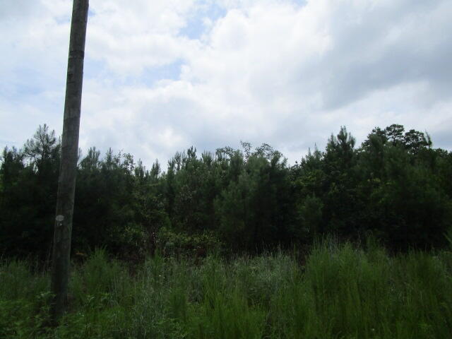 7905 Morris Bing Road Hollywood, SC 29449 - Photo 2 of 7 IMG_6096