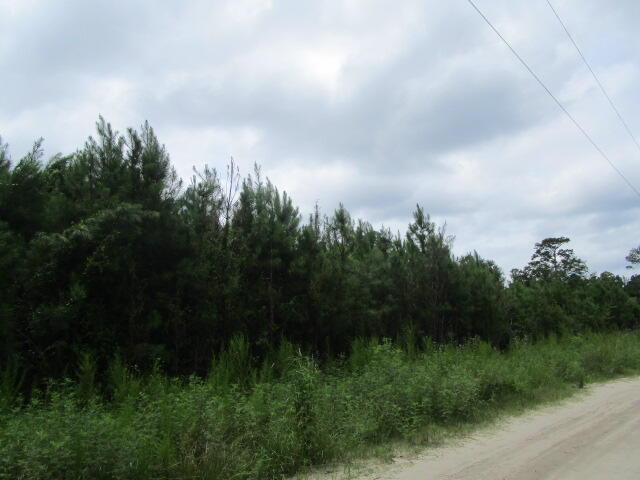7905 Morris Bing Road Hollywood, SC 29449 - Photo 3 of 7 IMG_6095