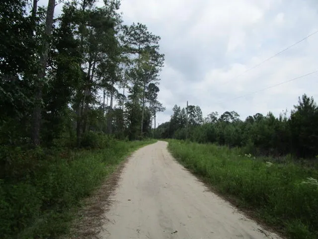 $199,000 | 7905 Morris Bing Road, Hollywood, SC 29449