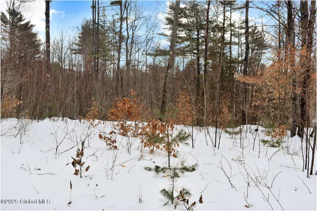 $84,500 | L87 Highview Lane, Unit LOT 3, North Creek, NY 12853
