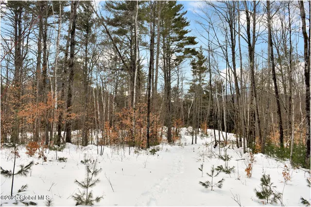 $84,500 | L87 Highview Lane, Unit LOT 3, North Creek, NY 12853