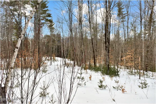 $84,500 | L87 Highview Lane, Unit LOT 3, North Creek, NY 12853