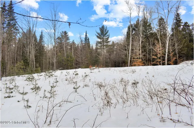 $84,500 | L87 Highview Lane, Unit LOT 3, North Creek, NY 12853
