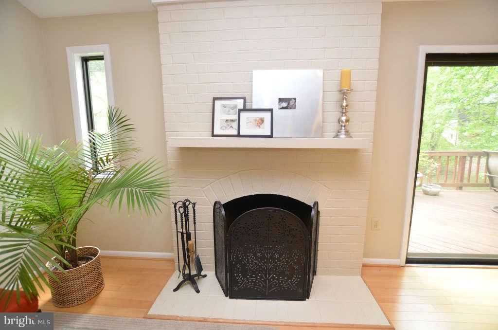 11815 Blue Spruce Road Reston, VA 20191 - Photo 15 of 30 Family Room Fireplace