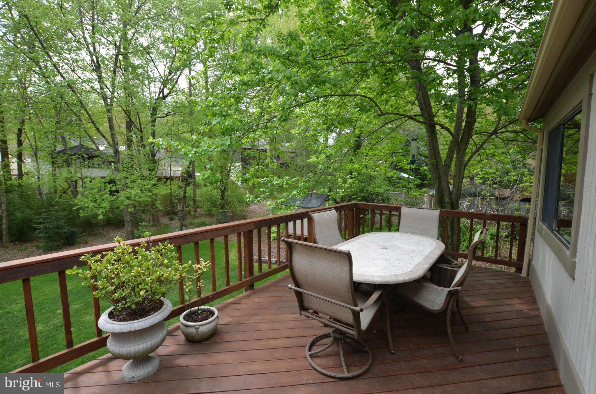 11815 Blue Spruce Road Reston, VA 20191 - Photo 28 of 30 Deck
