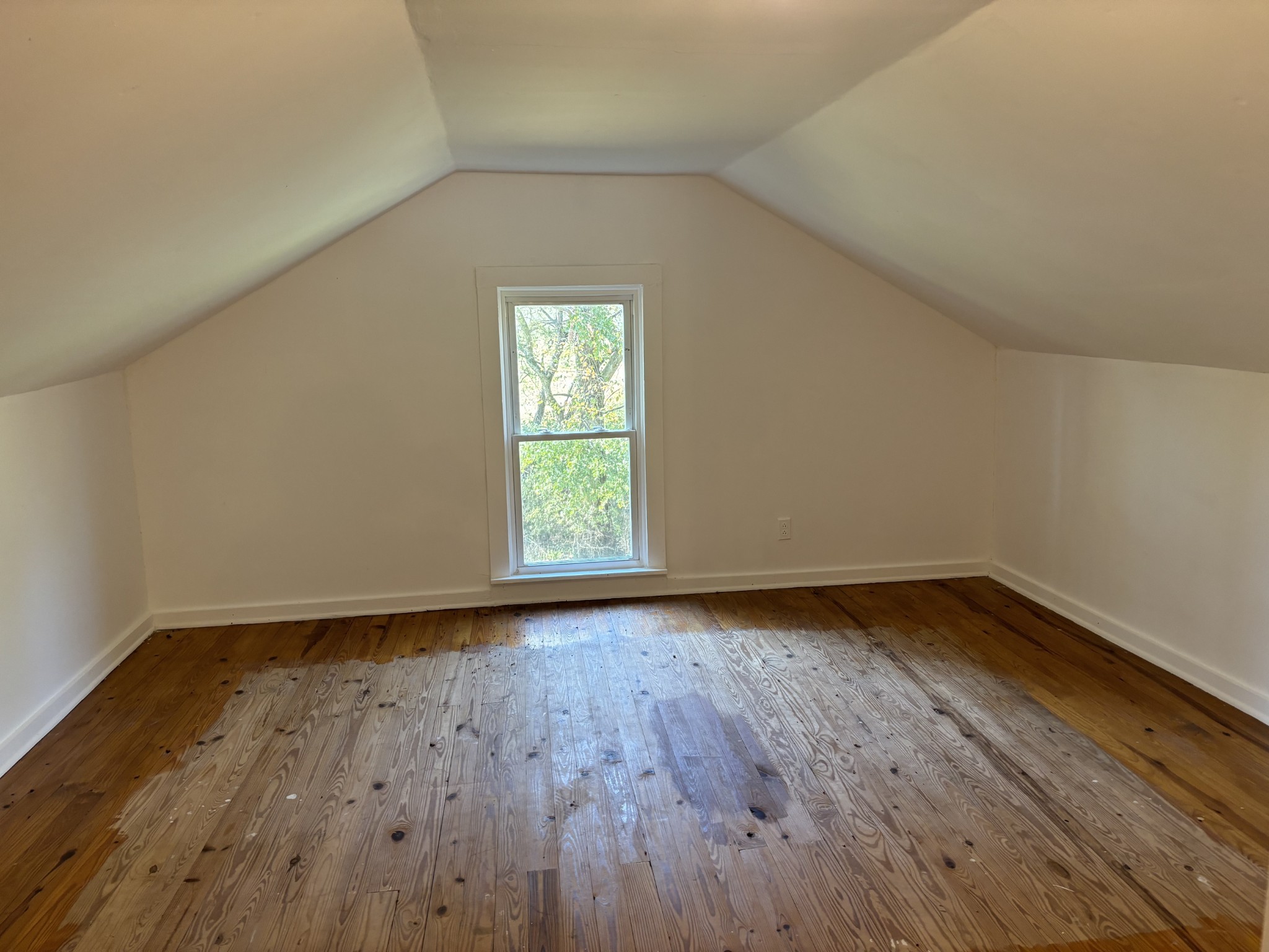 1893 Briar Patch Road Prospect, TN 38477 - Photo 29 of 43 a view of an empty room and window