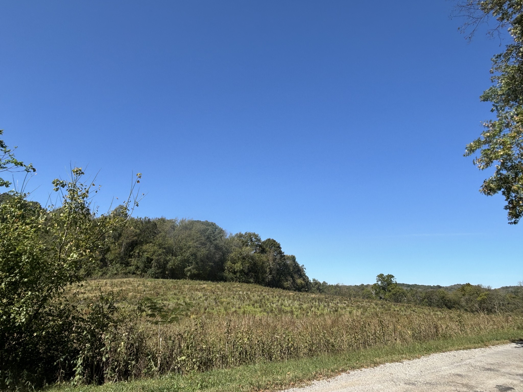 1893 Briar Patch Road Prospect, TN 38477 - Photo 35 of 43 a view of mountain and field